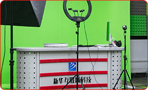 ����Ƶֱ����