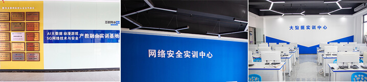 ��ʵһ�廯ʵѵ����