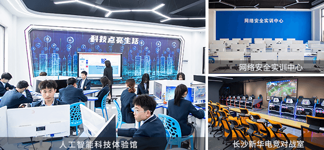 ��ɳ�»�ʵѵ����